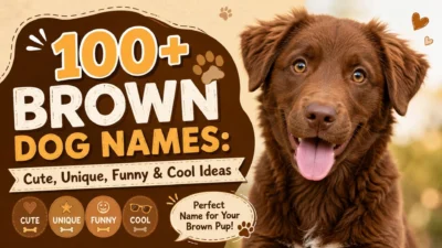 100+ brown dog names featuring cute, unique, funny, and cool ideas for your brown puppy