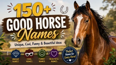 150+ good horse names with unique, cool, funny, and beautiful ideas