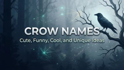 Crow sitting on a branch, representing cute, funny, and unique crow names